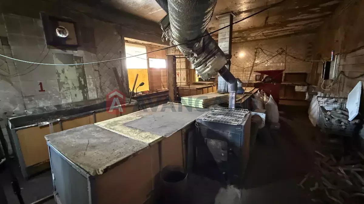 ���������� �����, 300 ��.�. ���� 20