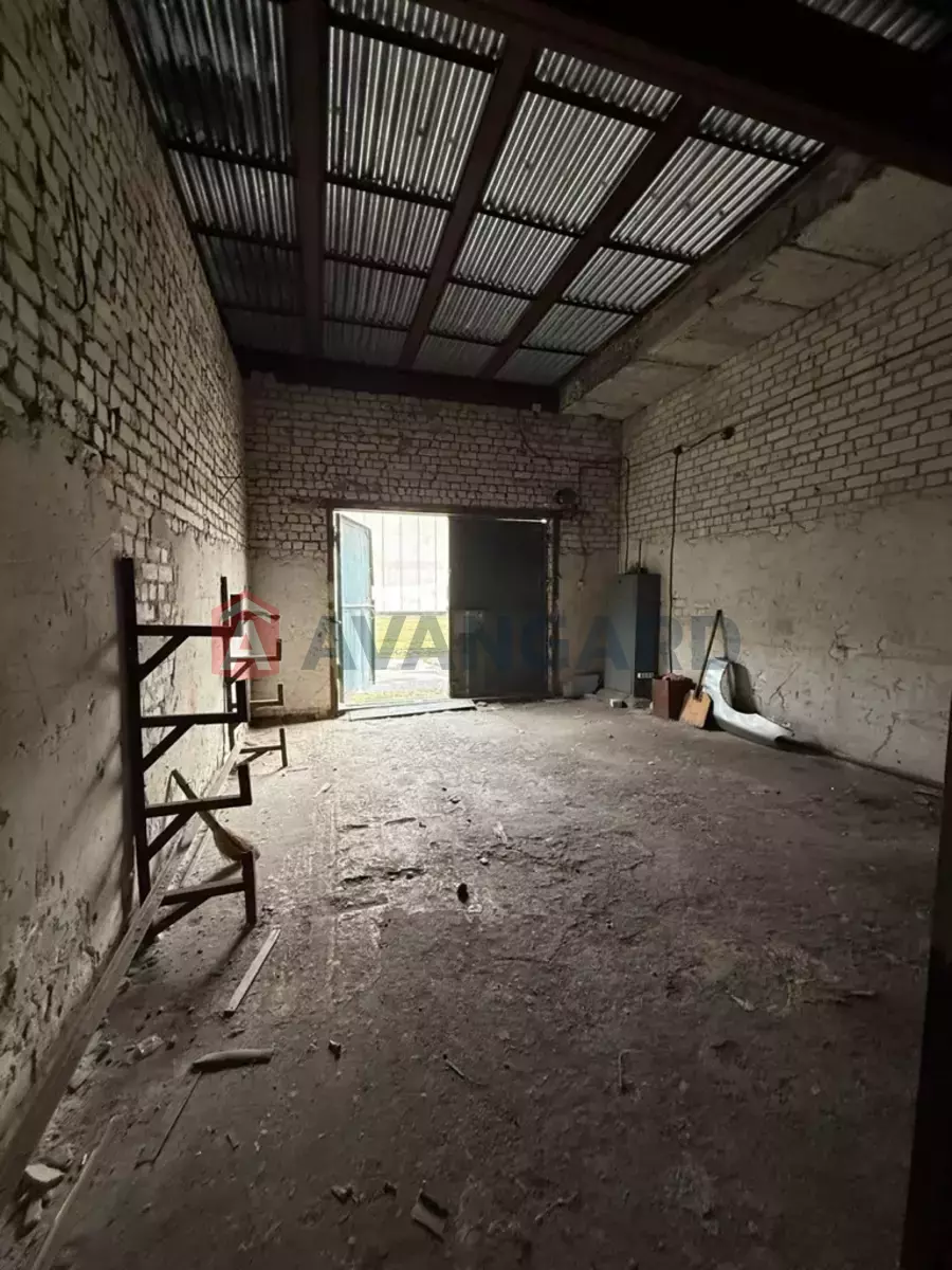 ���������� �����, 98 ��.�. ���� 8