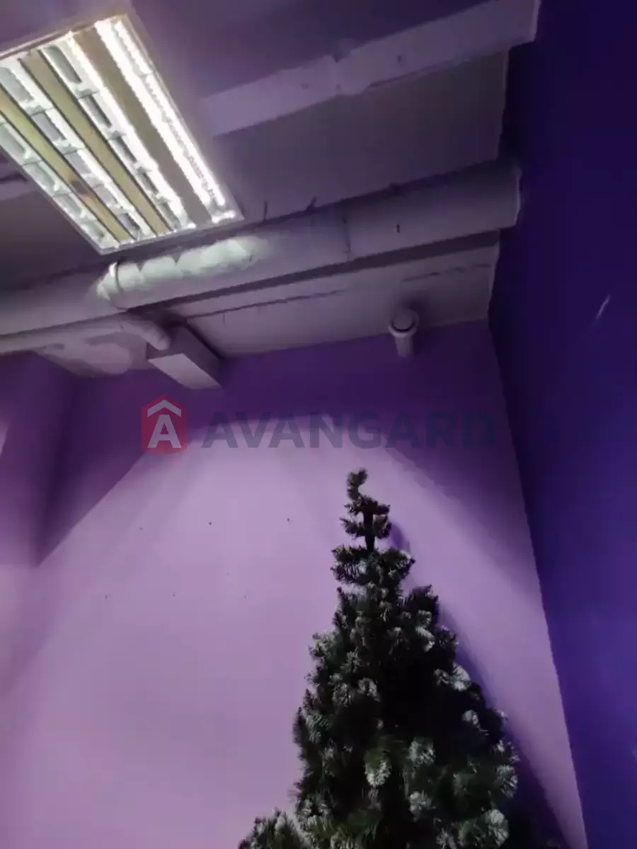  , 17 ..  4