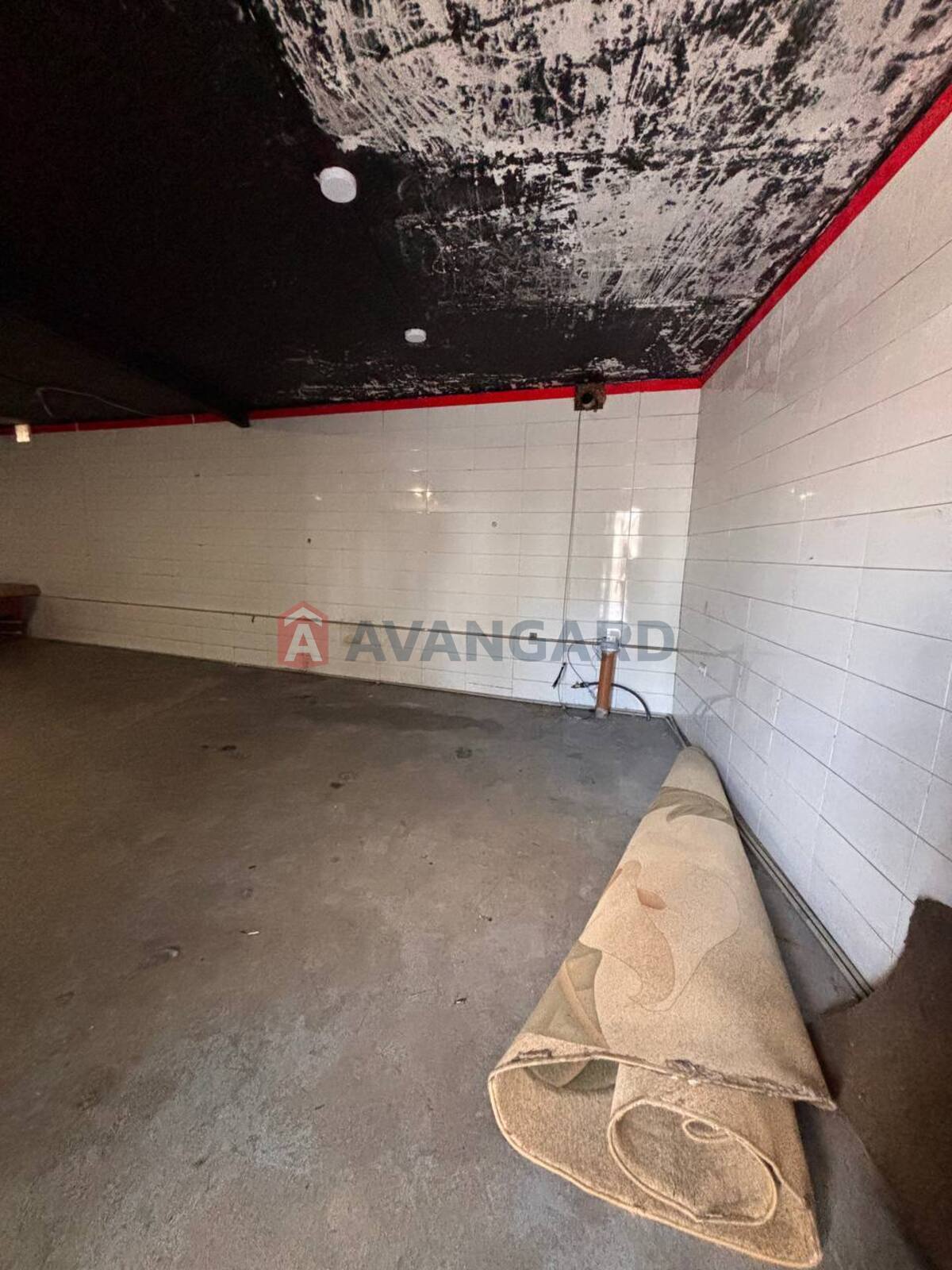 ����� ������, 75 ��.�. ���� 11