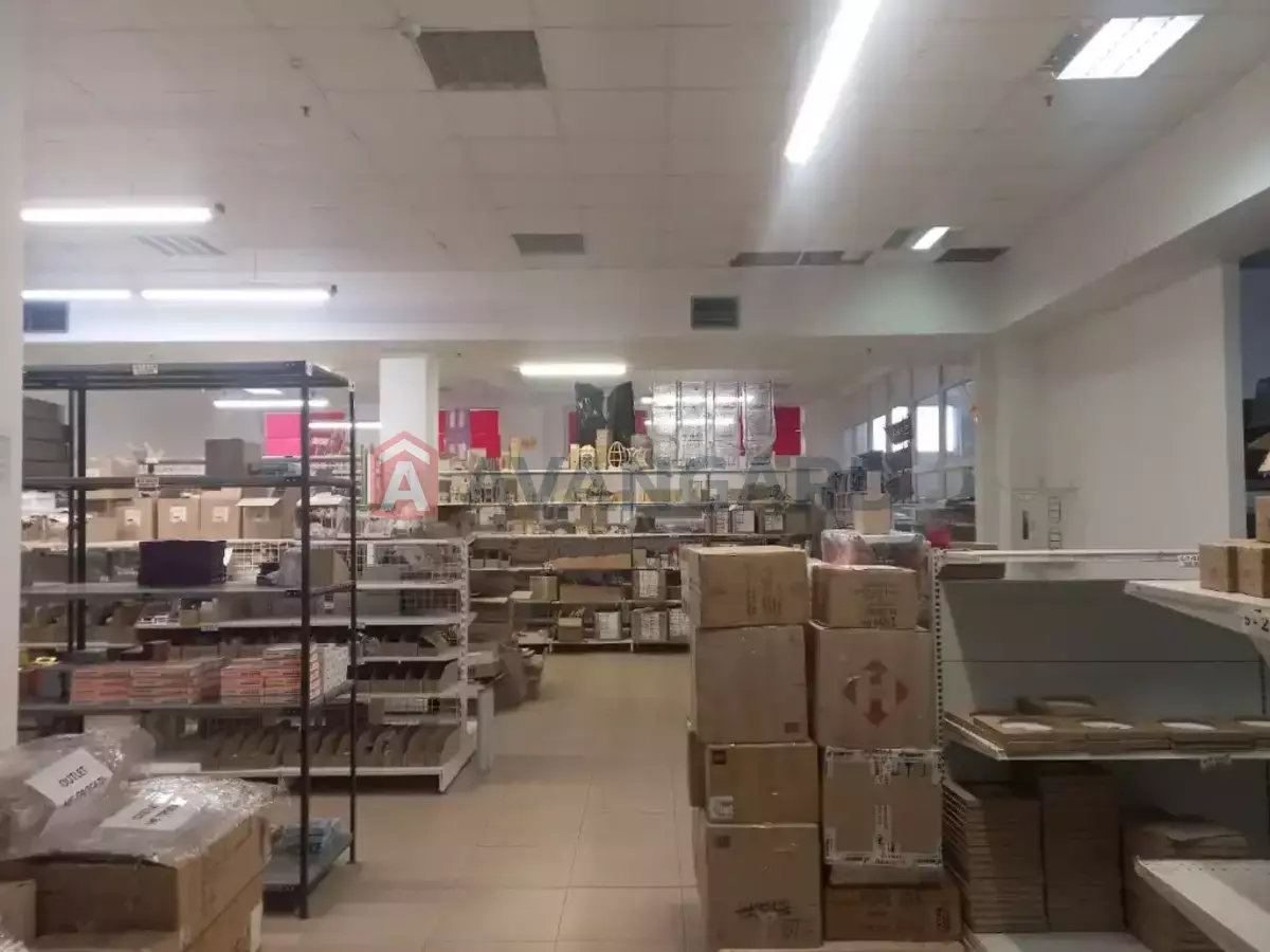 ���������� �����, 1510 ��.�. ���� 7