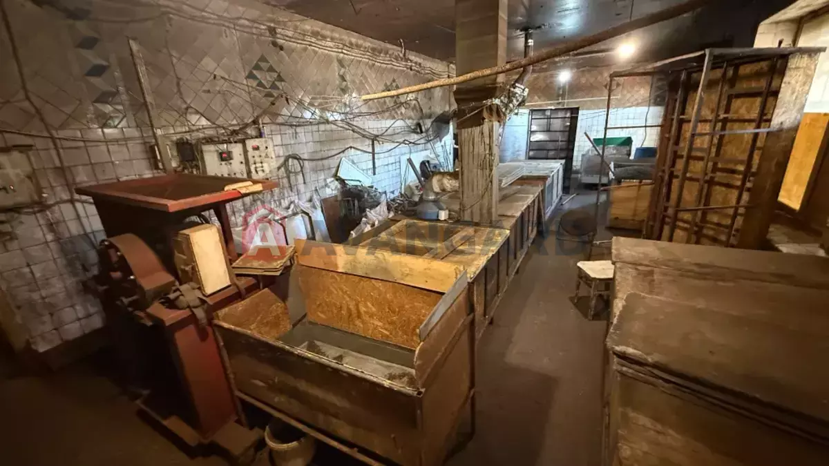 ���������� �����, 300 ��.�. ���� 22