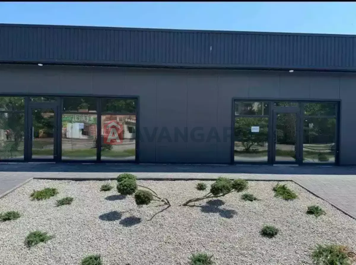 �������� �������, 40 ��.�. ���� 1