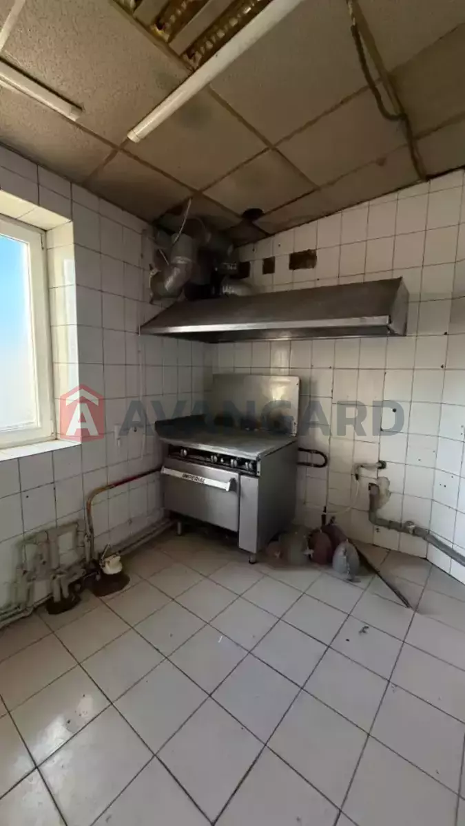 ����, ���, ��������, 72 ��.�. ���� 7