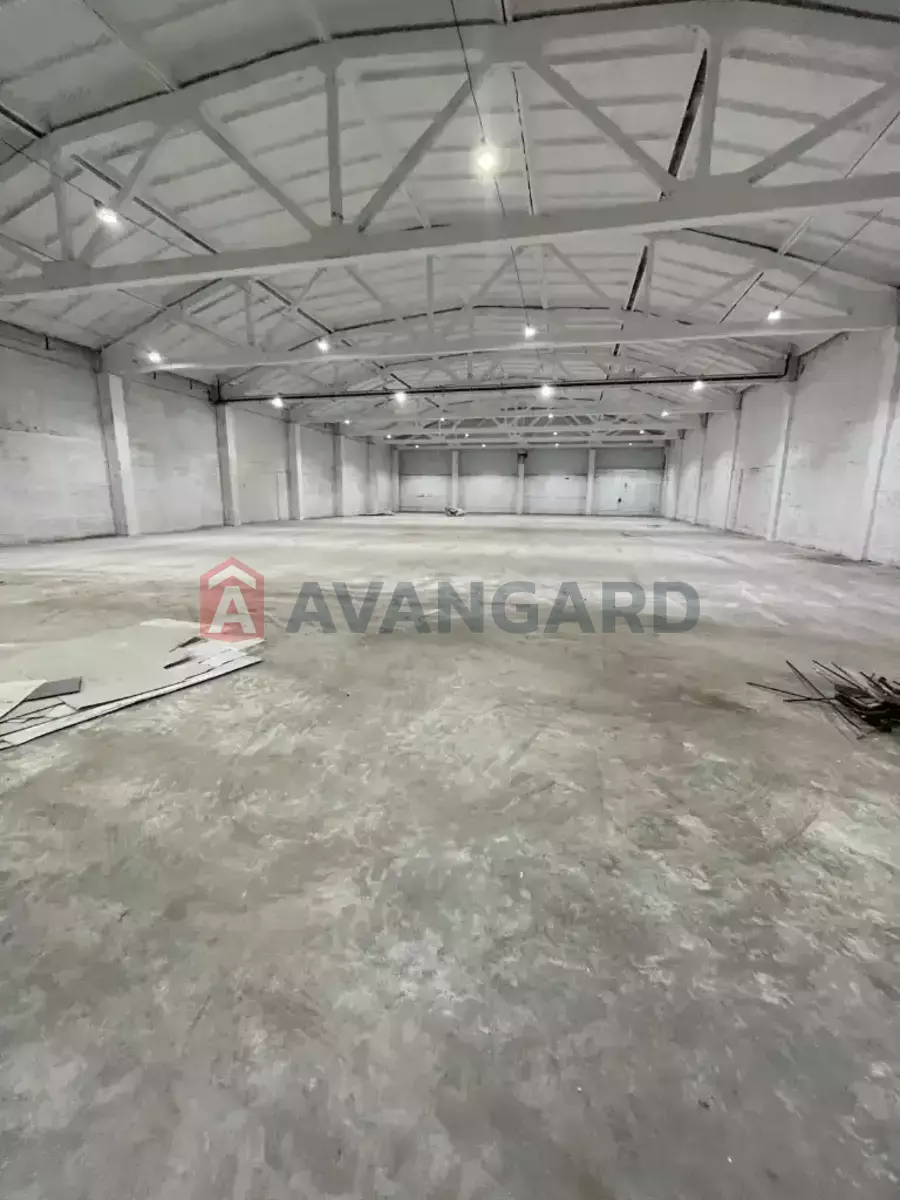 ���������� �����, 1100 ��.�. ���� 7