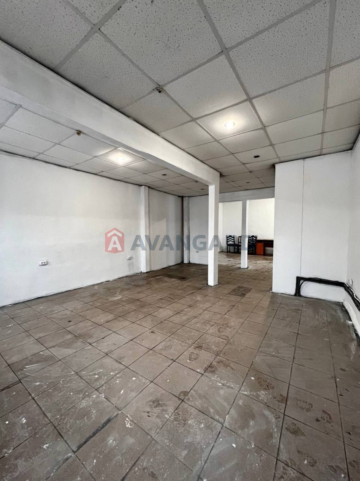 �������� �������, ����, ���, ��������, ����� �����, 60 ��.�. ���� 6