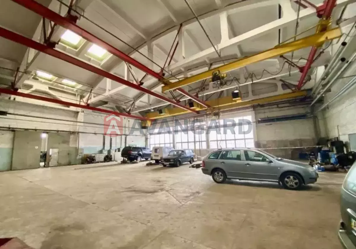 ����� �����, 3900 ��.�. ���� 3