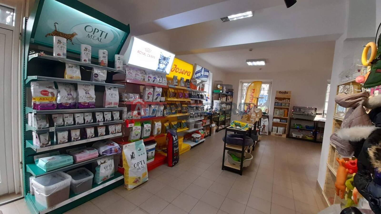 ���������� �����, 48 ��.�. ���� 4