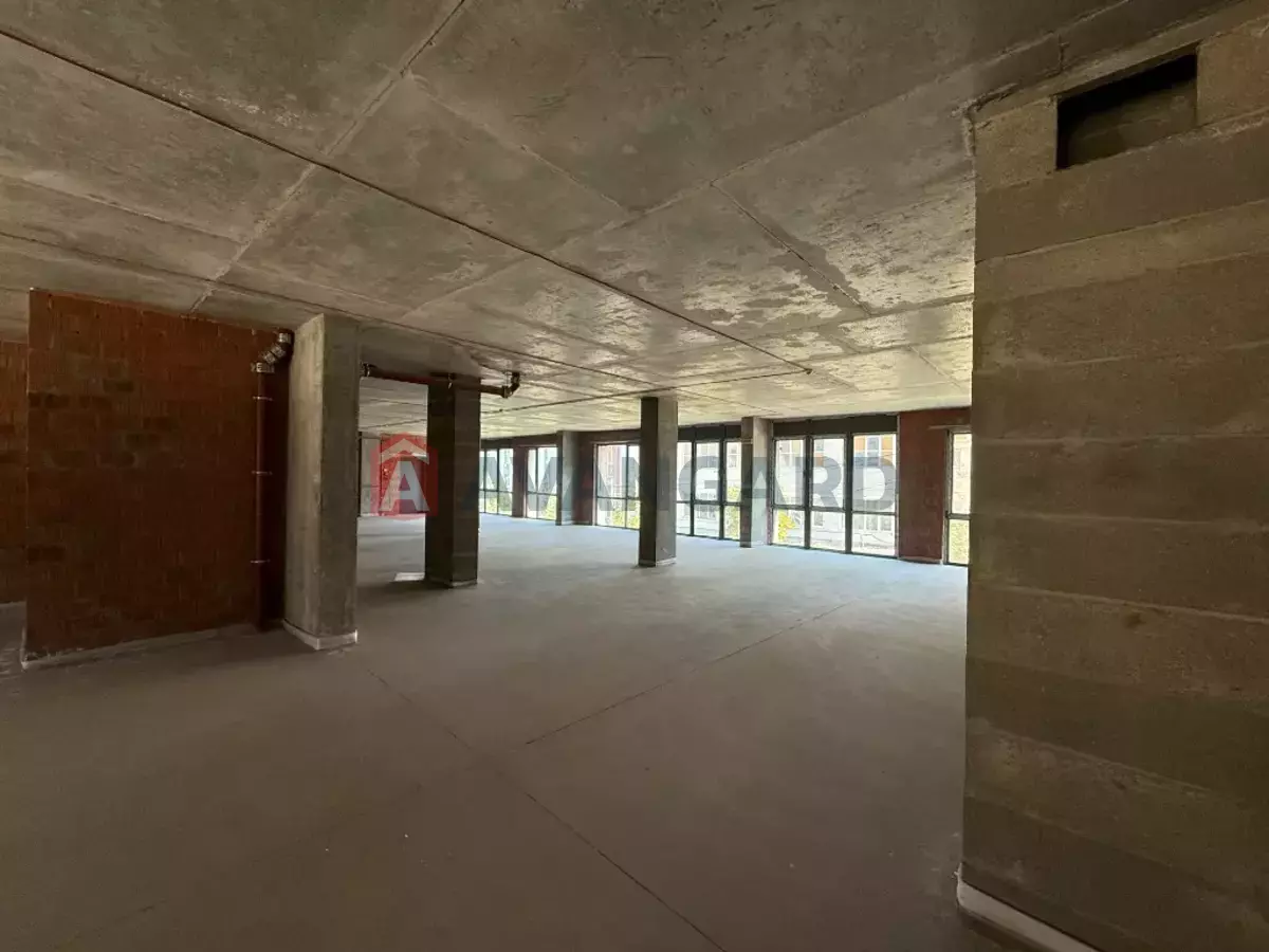 ���������� �����, 240 ��.�. ���� 14