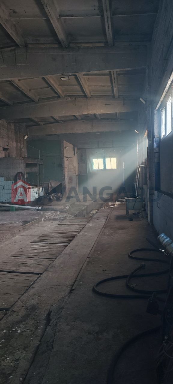 ����� ������, 300 ��.�. ���� 3