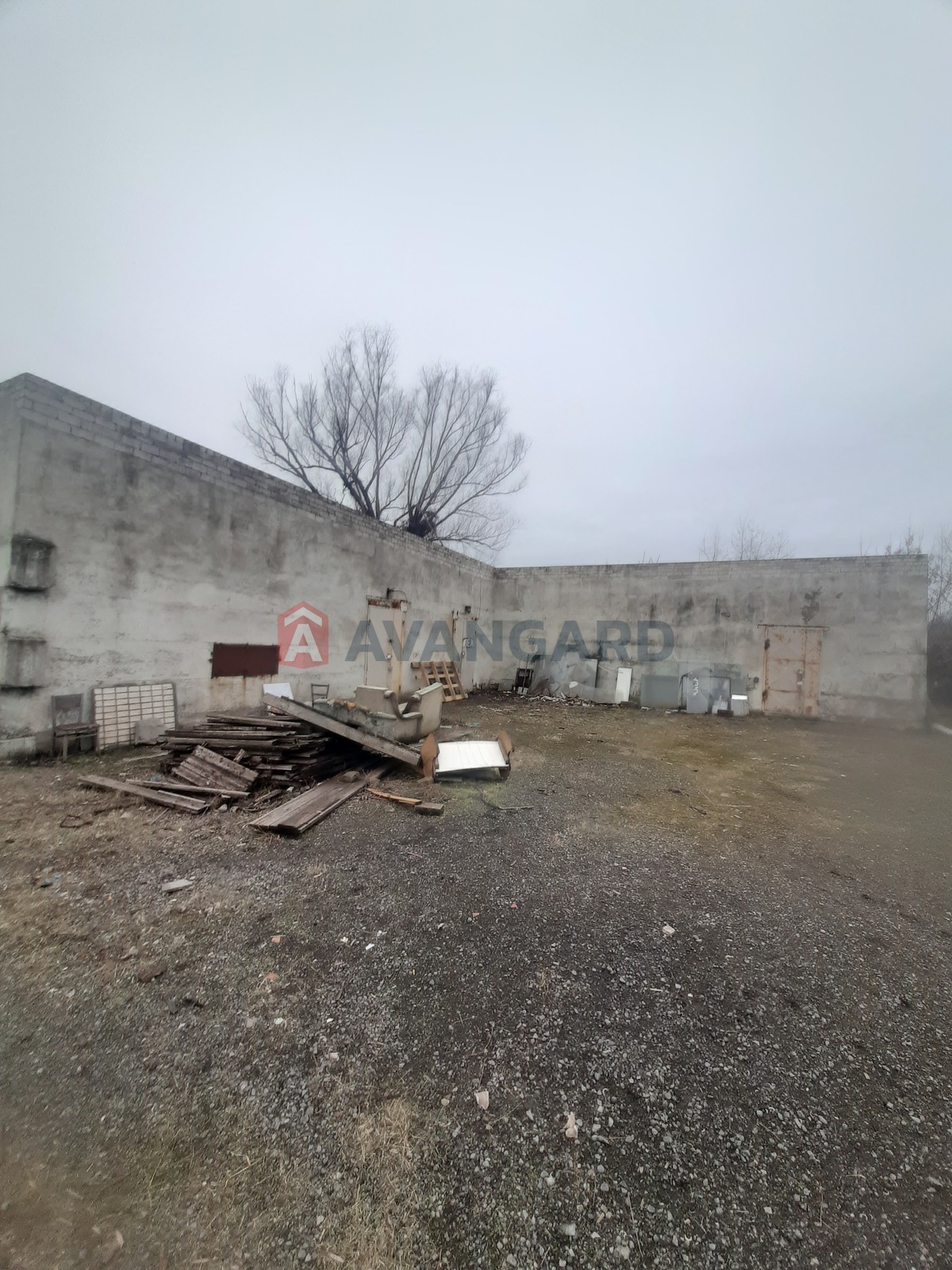 ����� �����, 56 ��.�. ���� 3