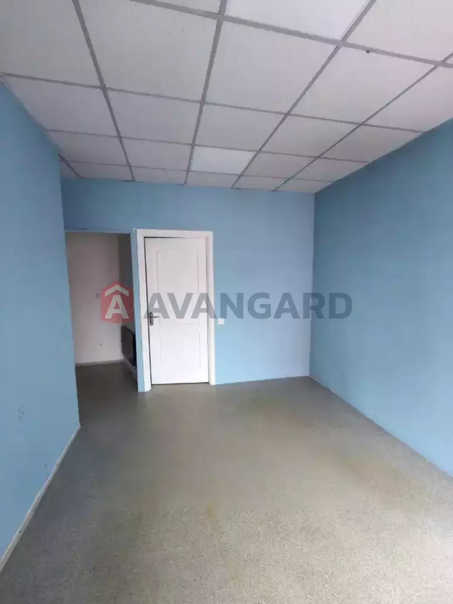 �������� �������, 16 ��.�. ���� 3