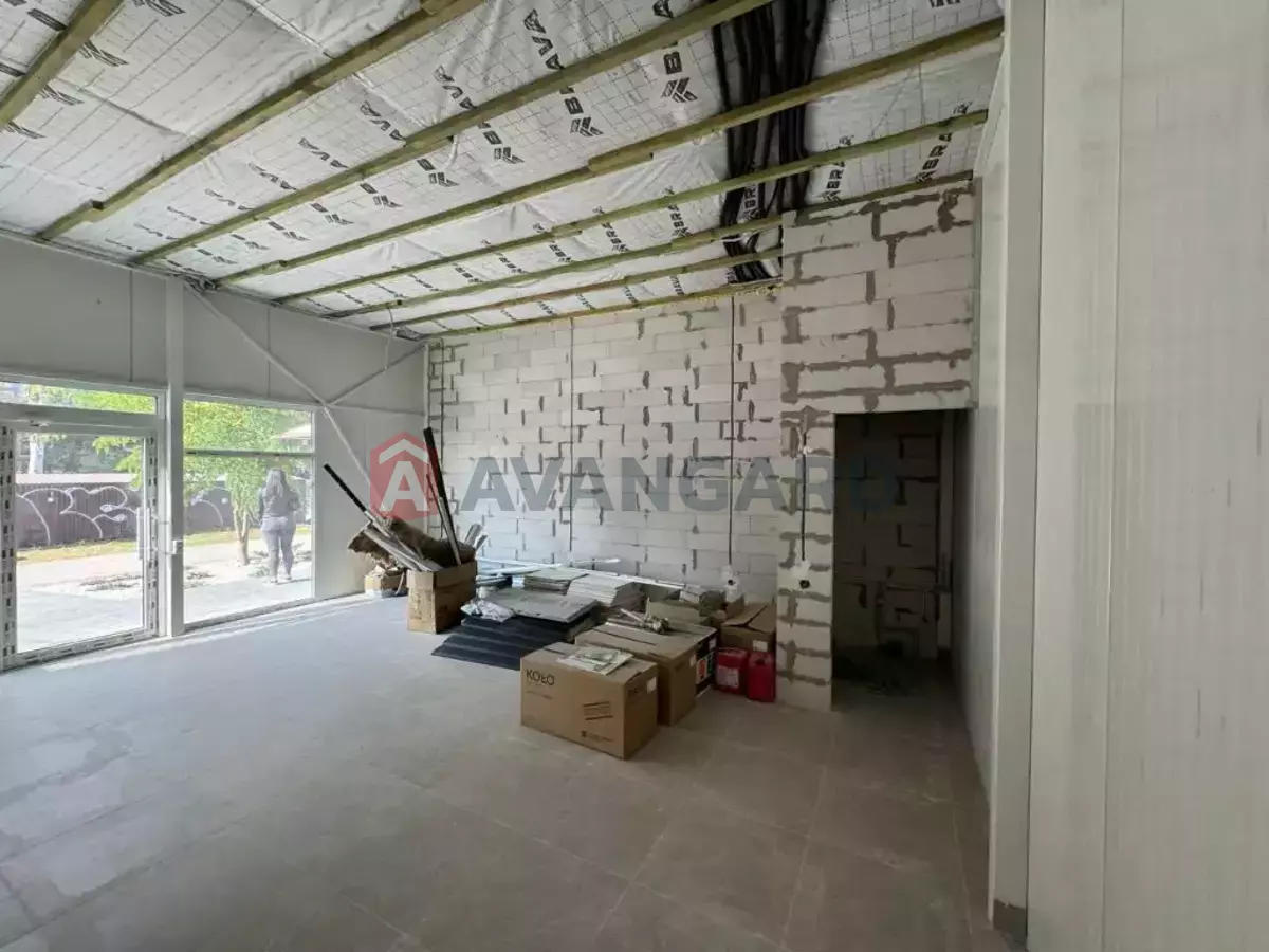 �������� �������, 40 ��.�. ���� 6