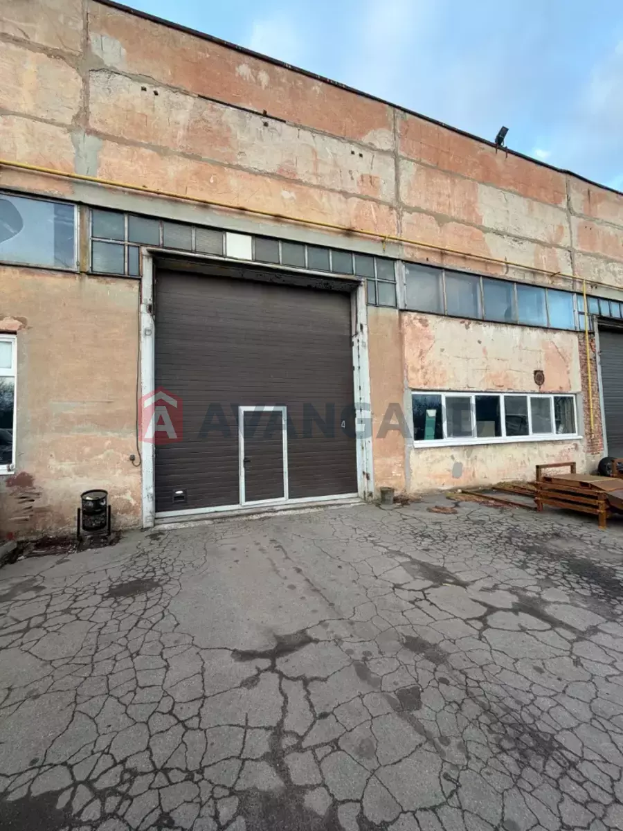 ����� �����, 4000 ��.�. ���� 6