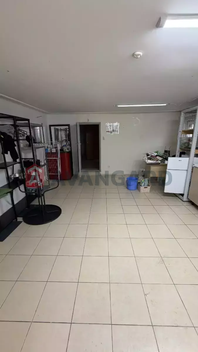 ���������� �����, 89 ��.�. ���� 12