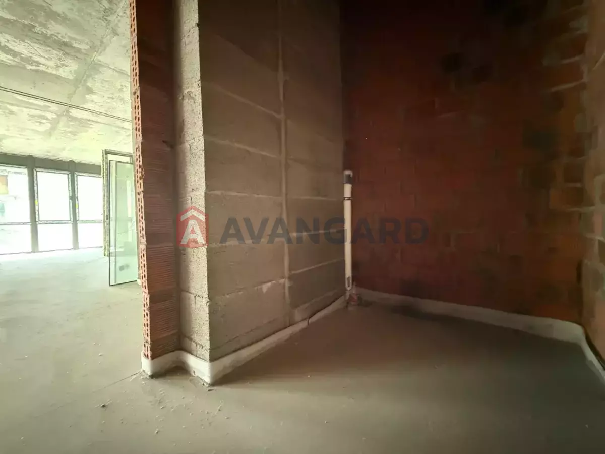 ���������� �����, 240 ��.�. ���� 16