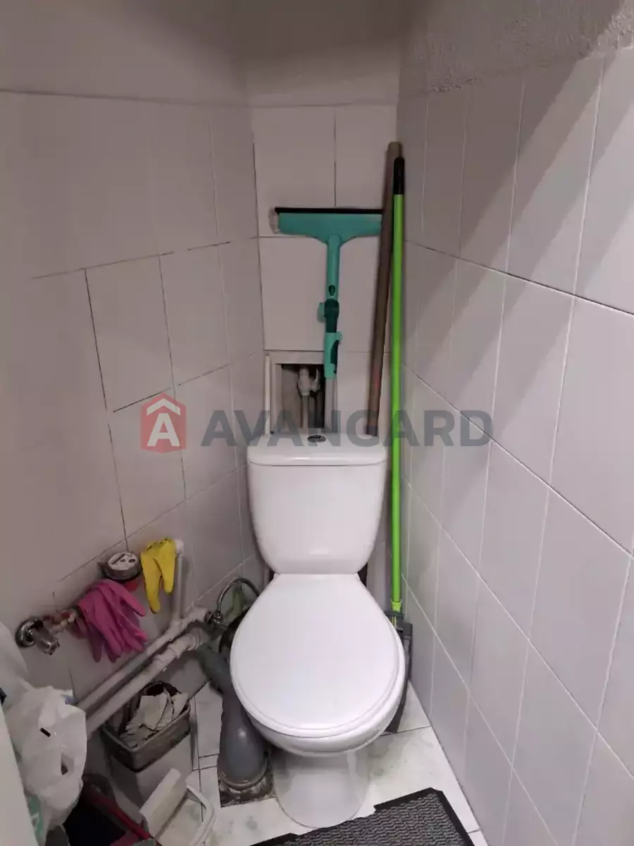 ���������� �����, 105 ��.�. ���� 15