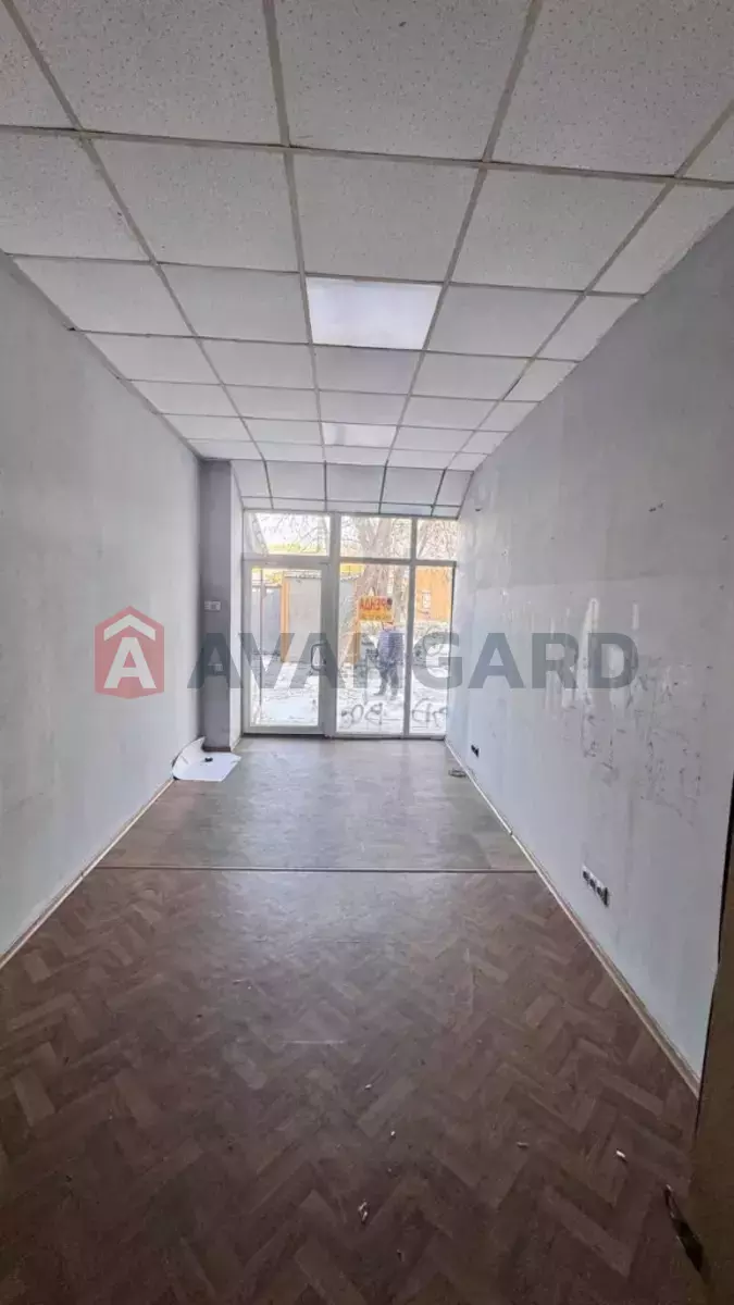 �������� �������, 19 ��.�. ���� 10