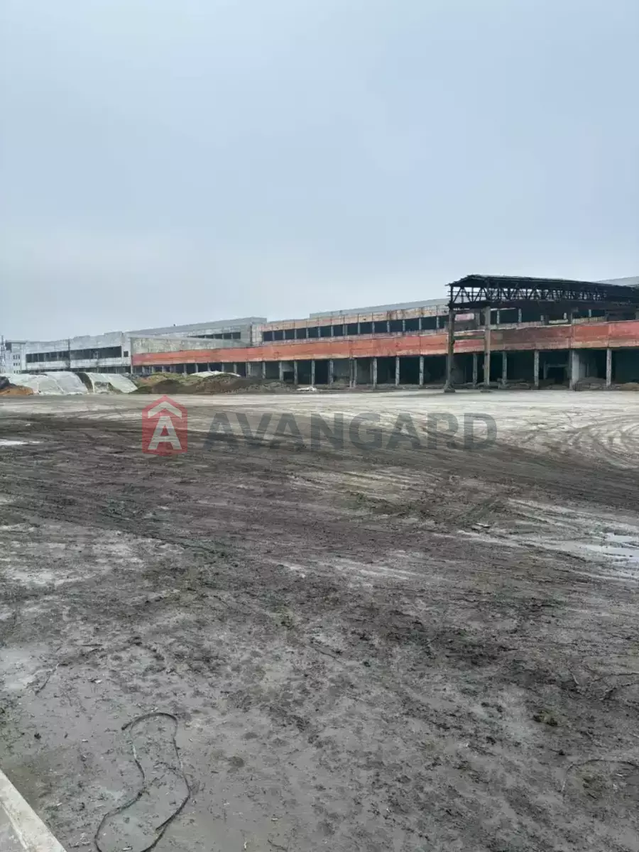 �������� �������, 1000 ��.�. ���� 3