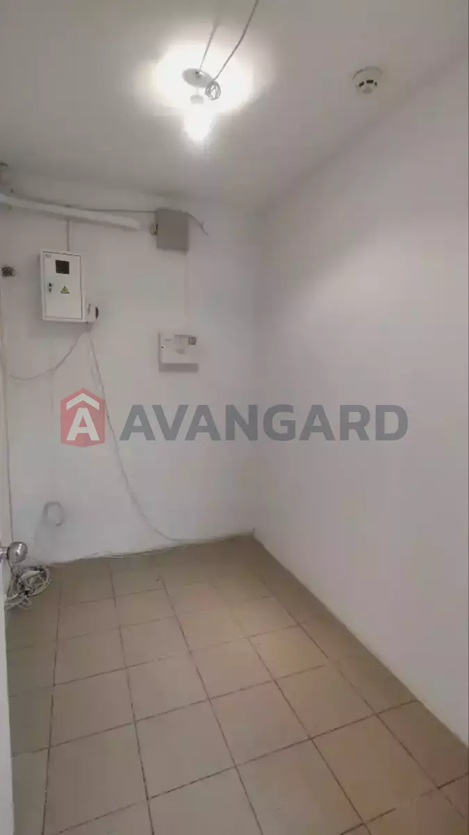  , 54 ..  6