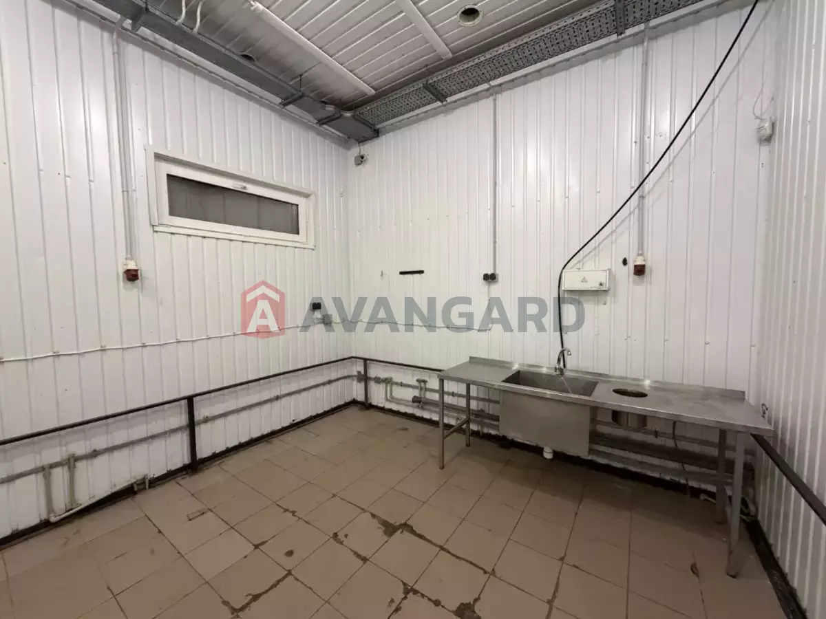 ���������� �����, 240 ��.�. ���� 11