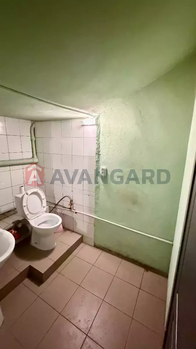 �������� �������, 65 ��.�. ���� 6