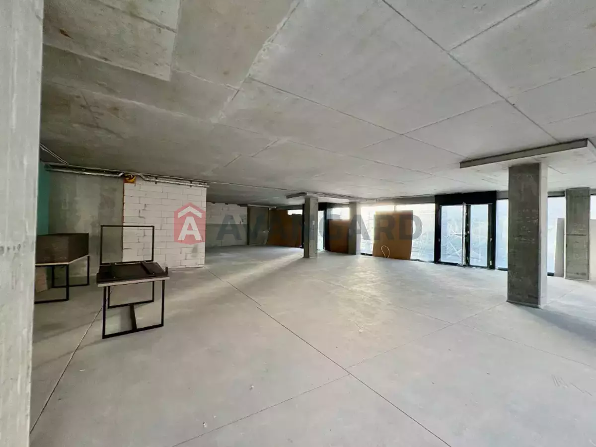 ����, ���, ��������, 428 ��.�. ���� 16