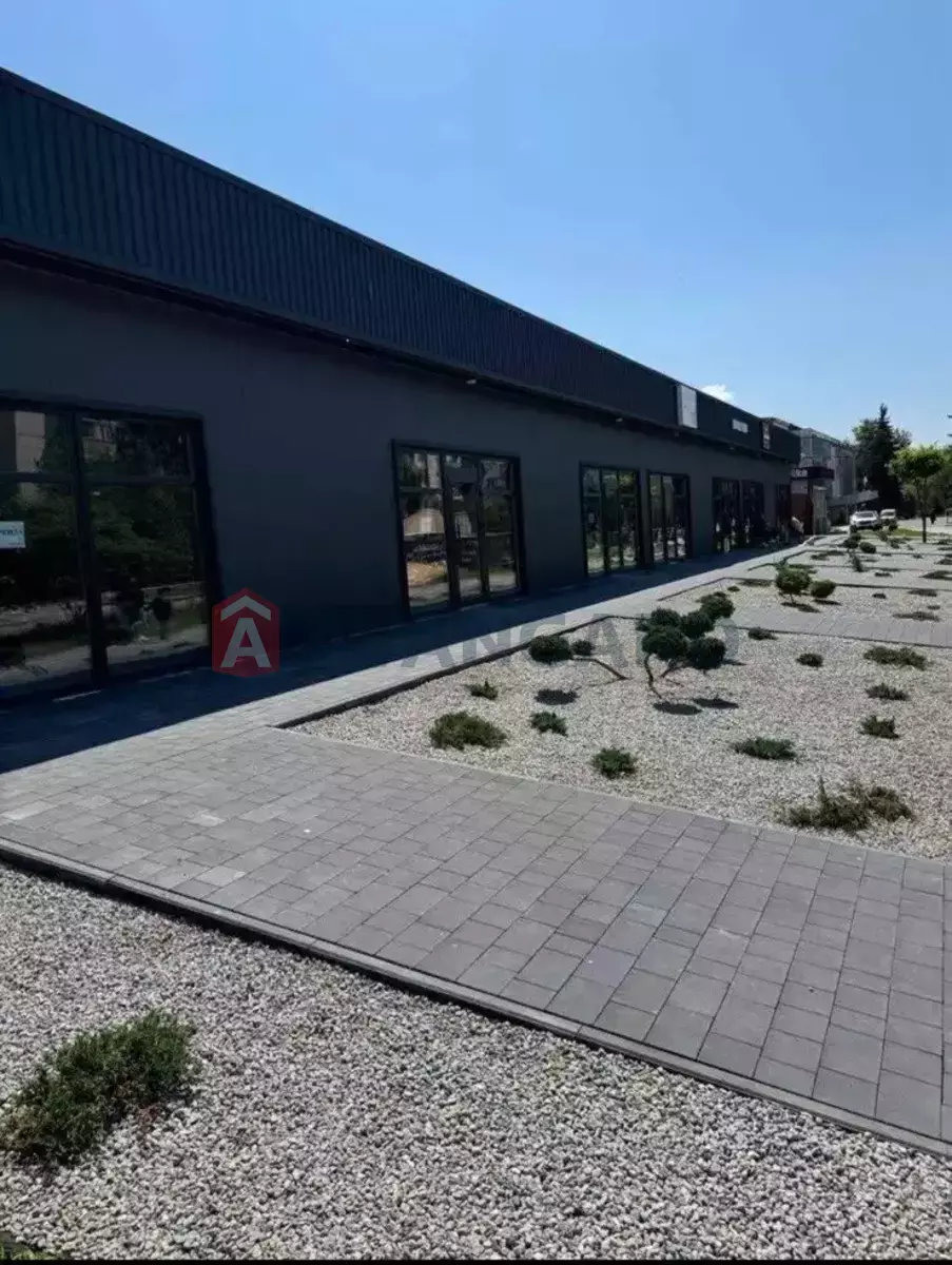 �������� �������, 40 ��.�. ���� 3