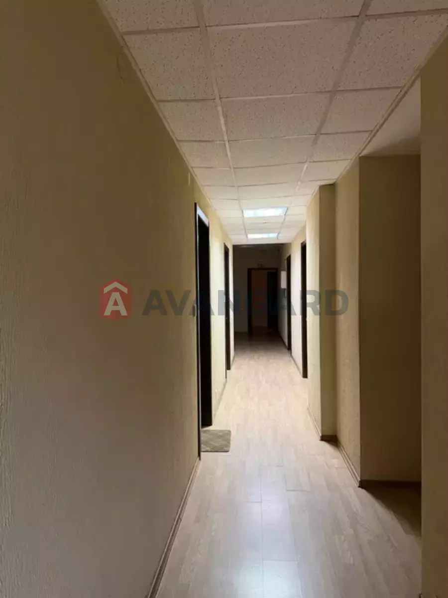 �������� �������, 11 ��.�. ���� 2