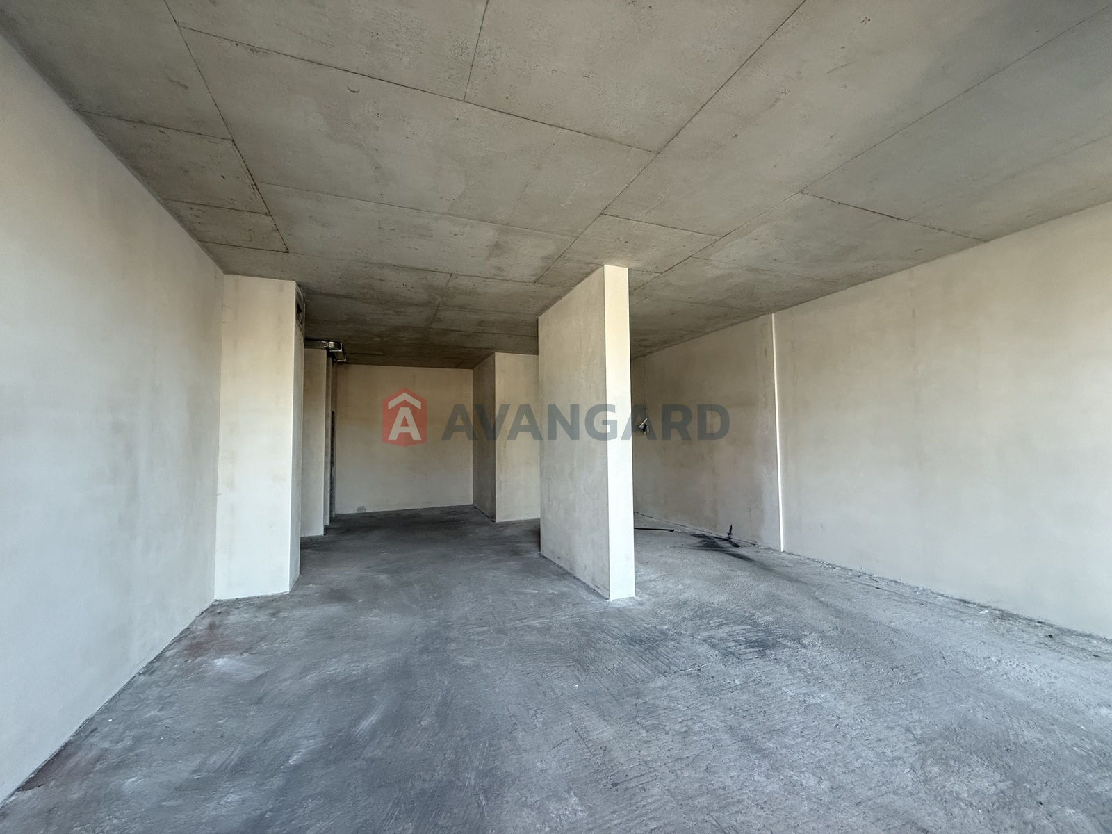 ���������� �����, ����, ���, ��������, ����� ������, 80 ��.�. ���� 29