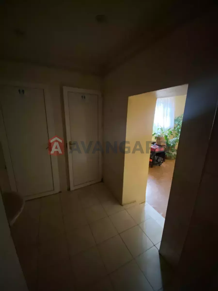 ���������� �����, 850 ��.�. ���� 13