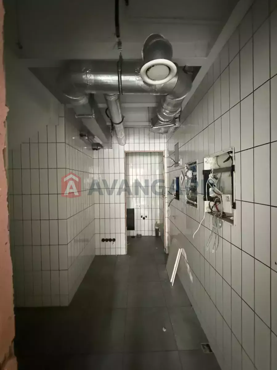 ����, ���, ��������, 210 ��.�. ���� 7