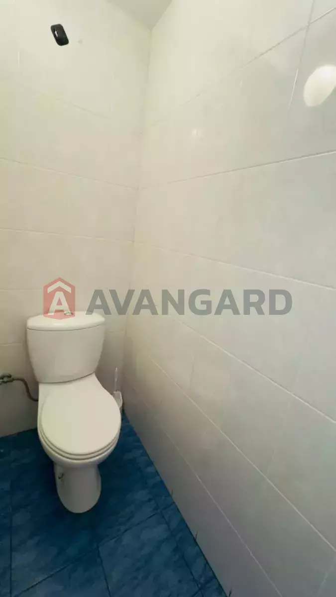 ���������� �����, 60 ��.�. ���� 12