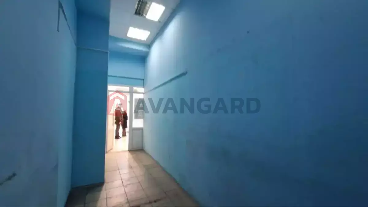 ���������� �����, 12 ��.�. ���� 8