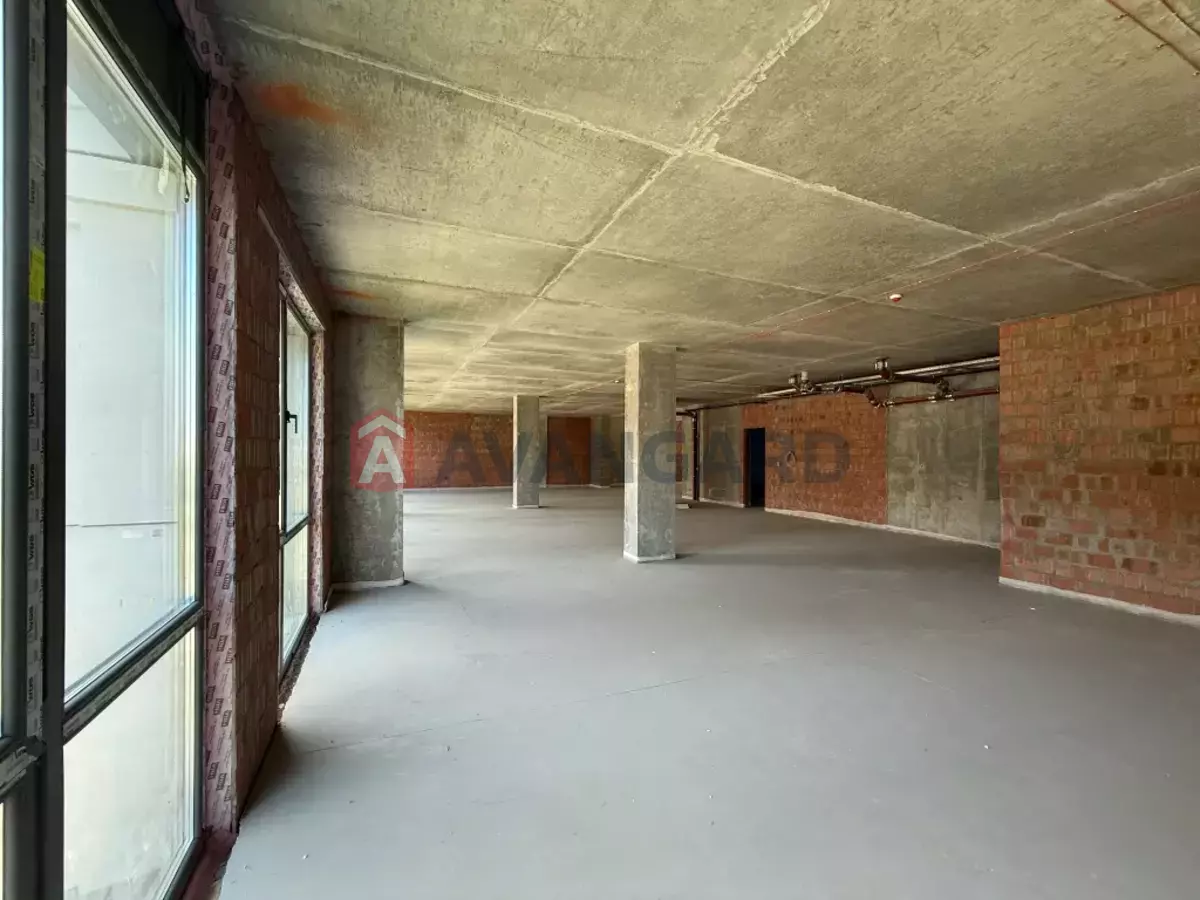 ���������� �����, 240 ��.�. ���� 5