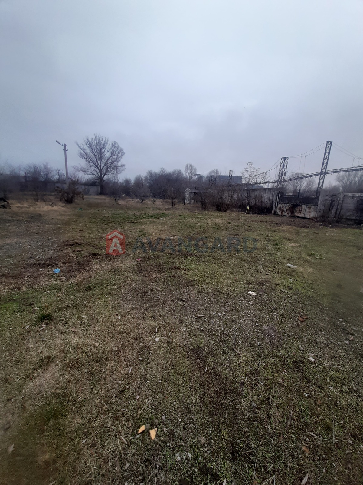 ����� �����, 56 ��.�. ���� 2