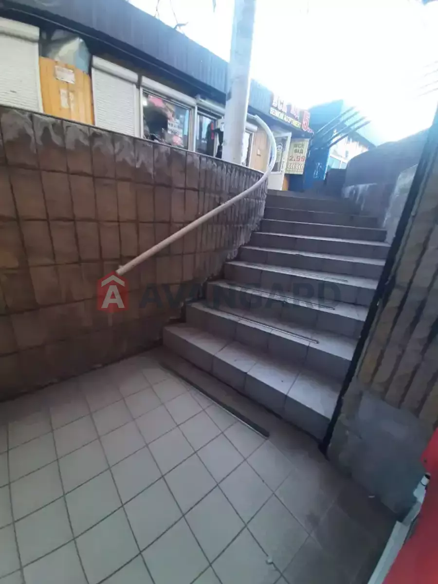 ���������� �����, 40 ��.�. ���� 8