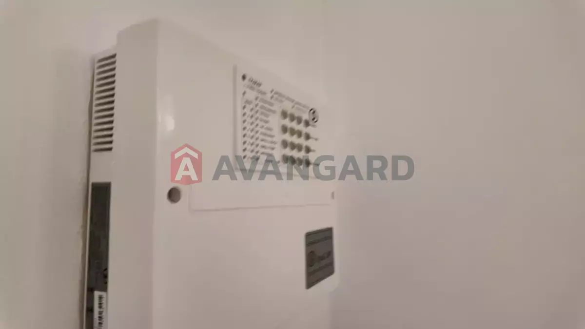 ����� ������, 61 ��.�. ���� 18