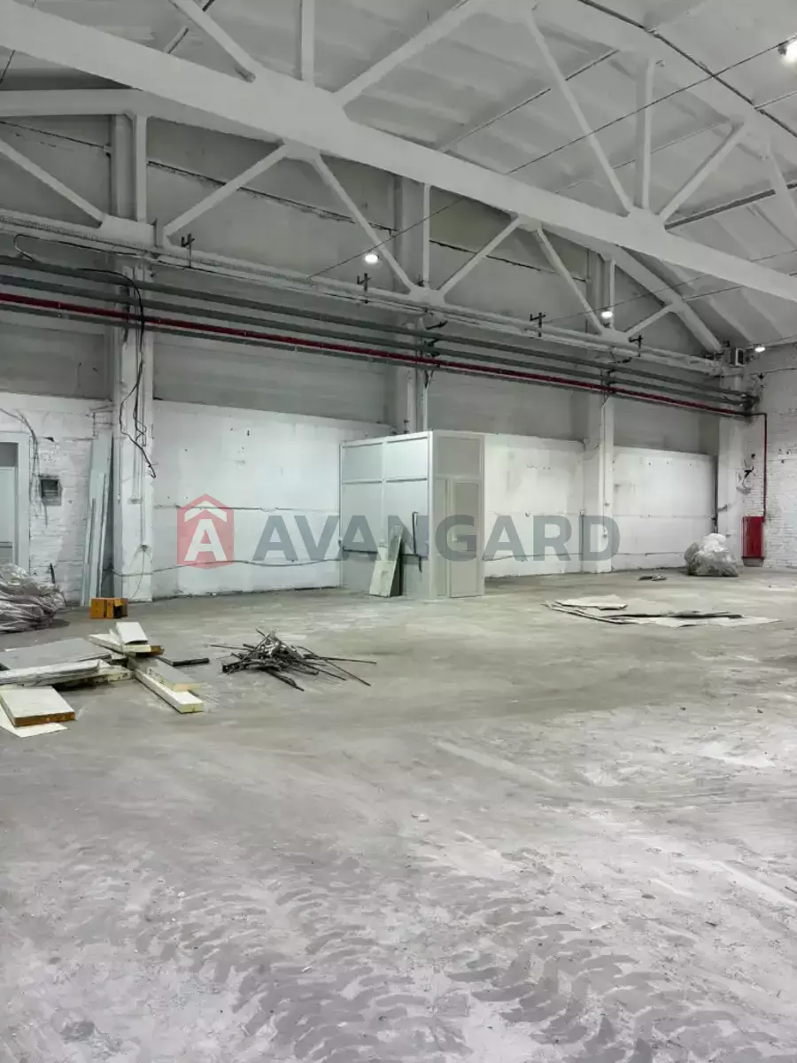 �������� �������, 1000 ��.�. ���� 11