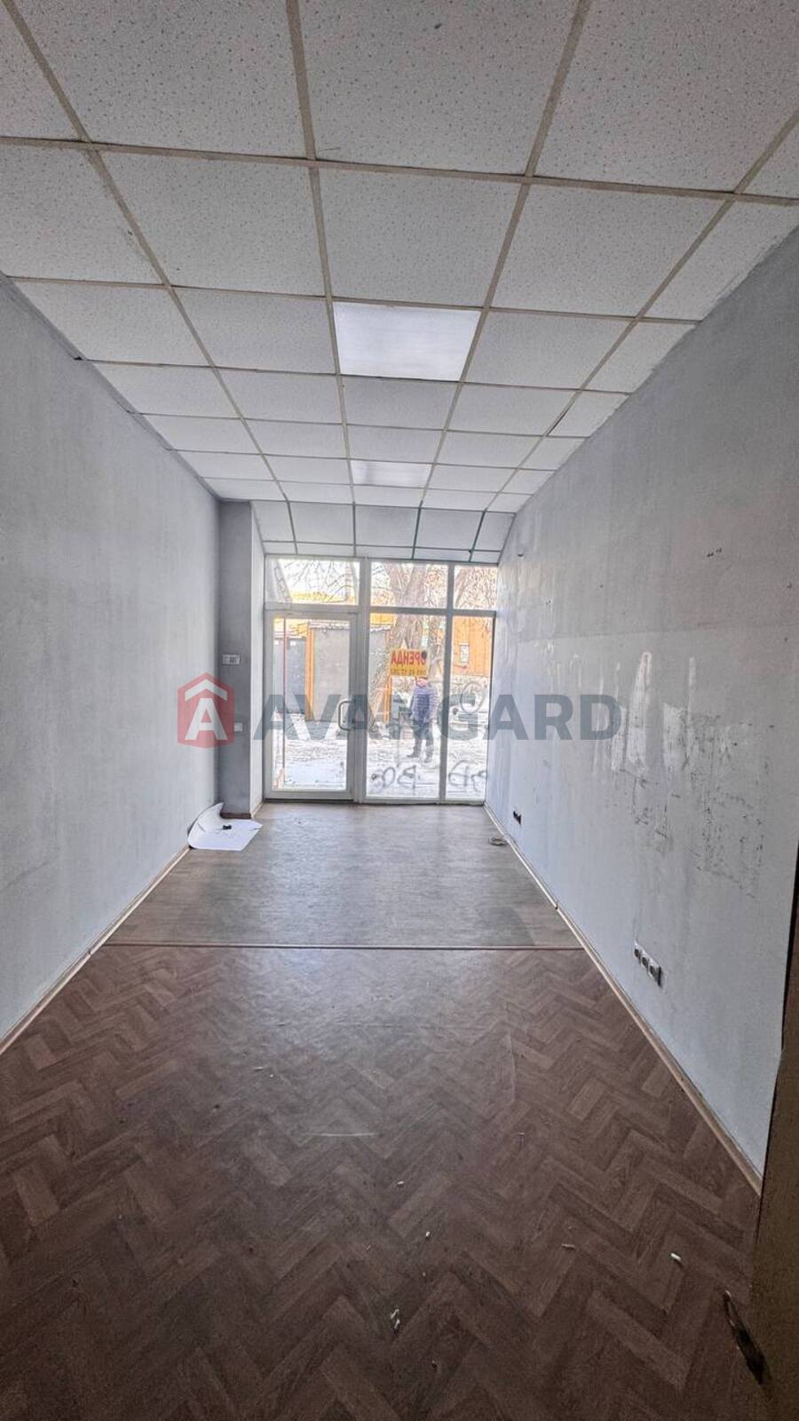 �������� �������, ����, ���, ��������, 19 ��.�. ���� 2