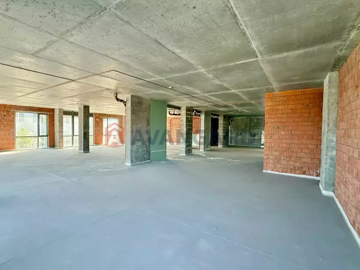 �������� �������, 292 ��.�. ���� 13