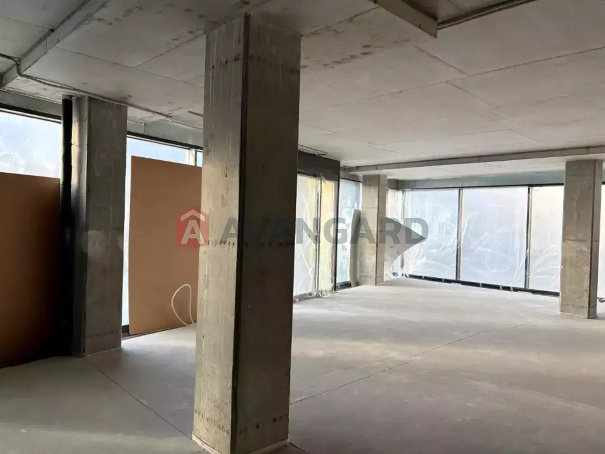 ����, ���, ��������, 428 ��.�. ���� 10