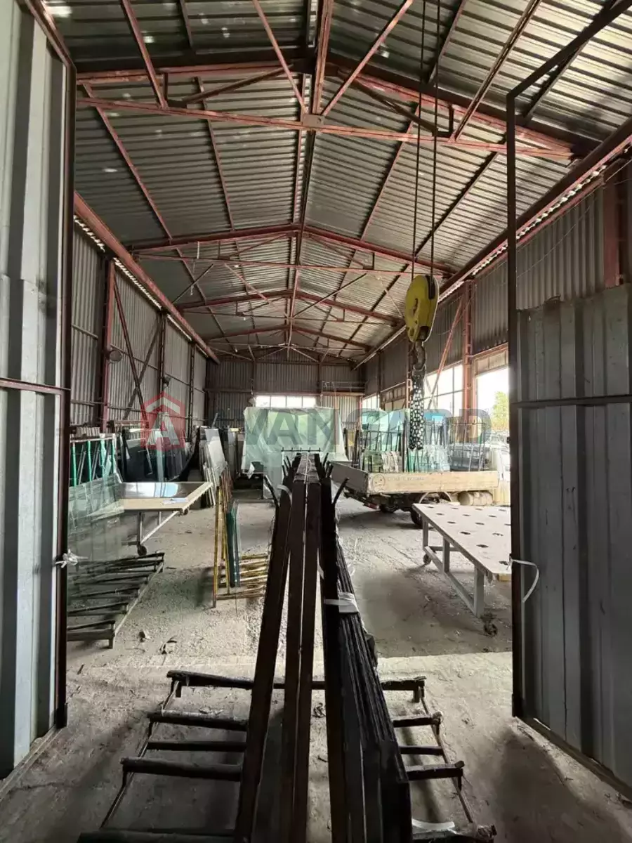 ���������� �����, 4000 ��.�. ���� 11