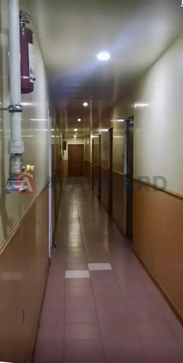 ���������� �����, 73 ��.�. ���� 5