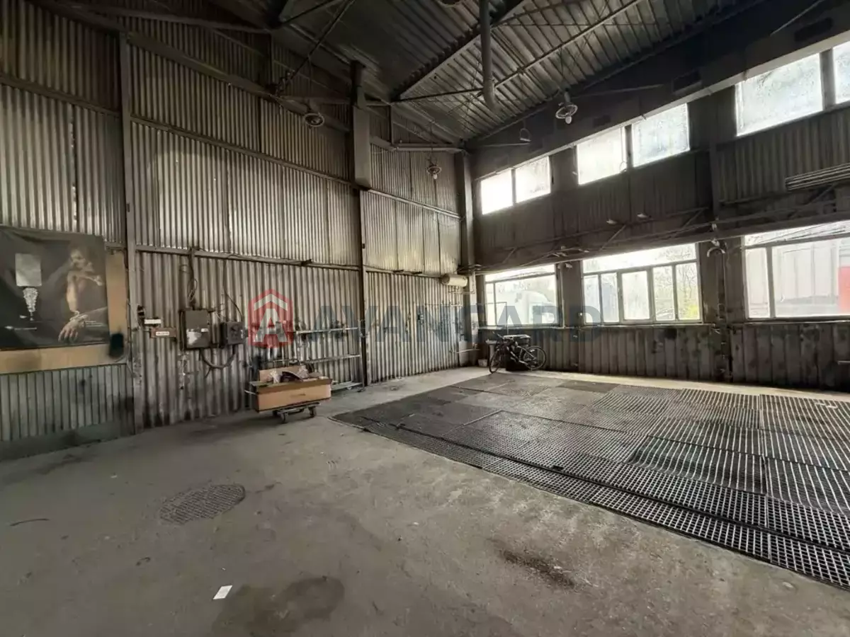 ���������� �����, 225 ��.�. ���� 11