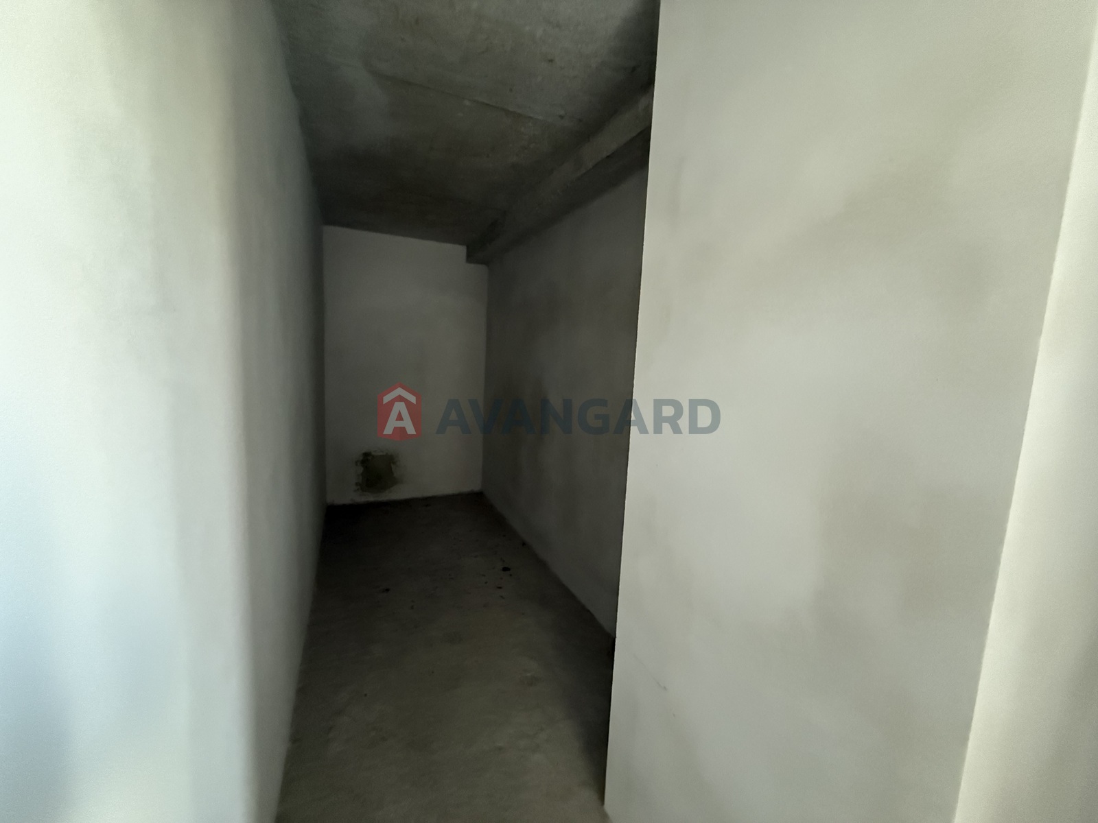 ���������� �����, ����, ���, ��������, ����� ������, 80 ��.�. ���� 23