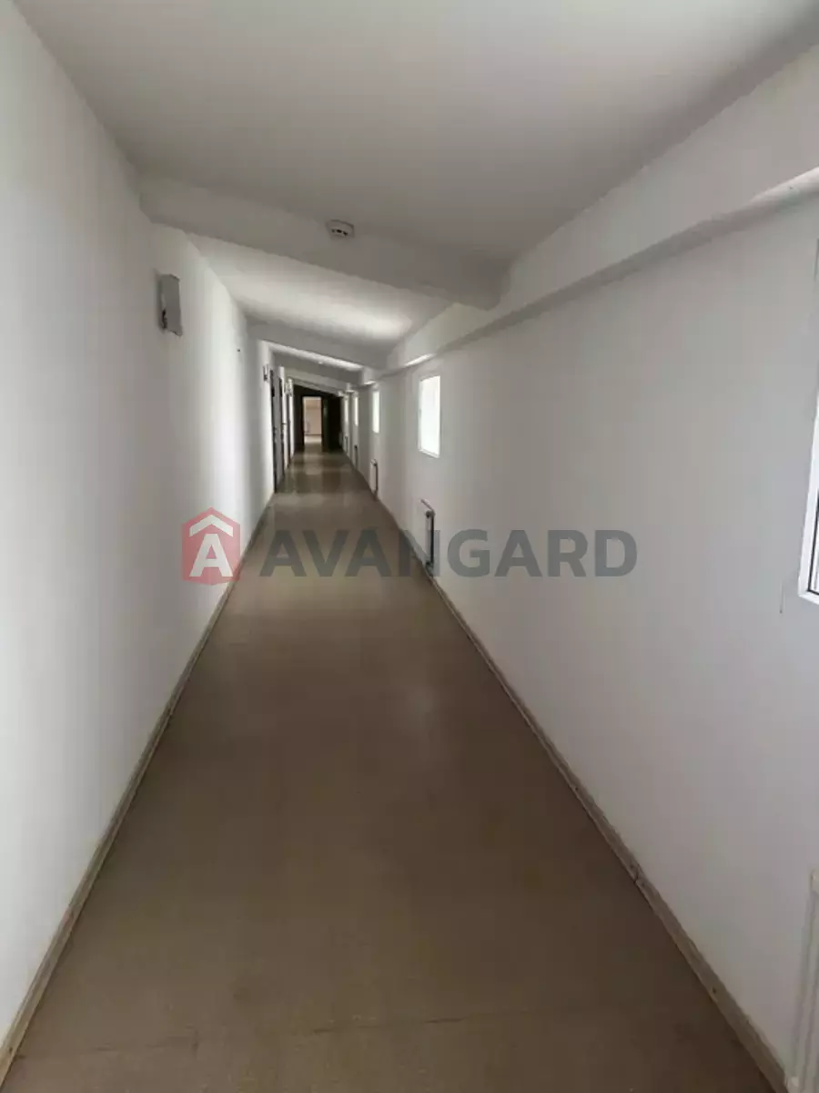 ���������� �����, 50 ��.�. ���� 4