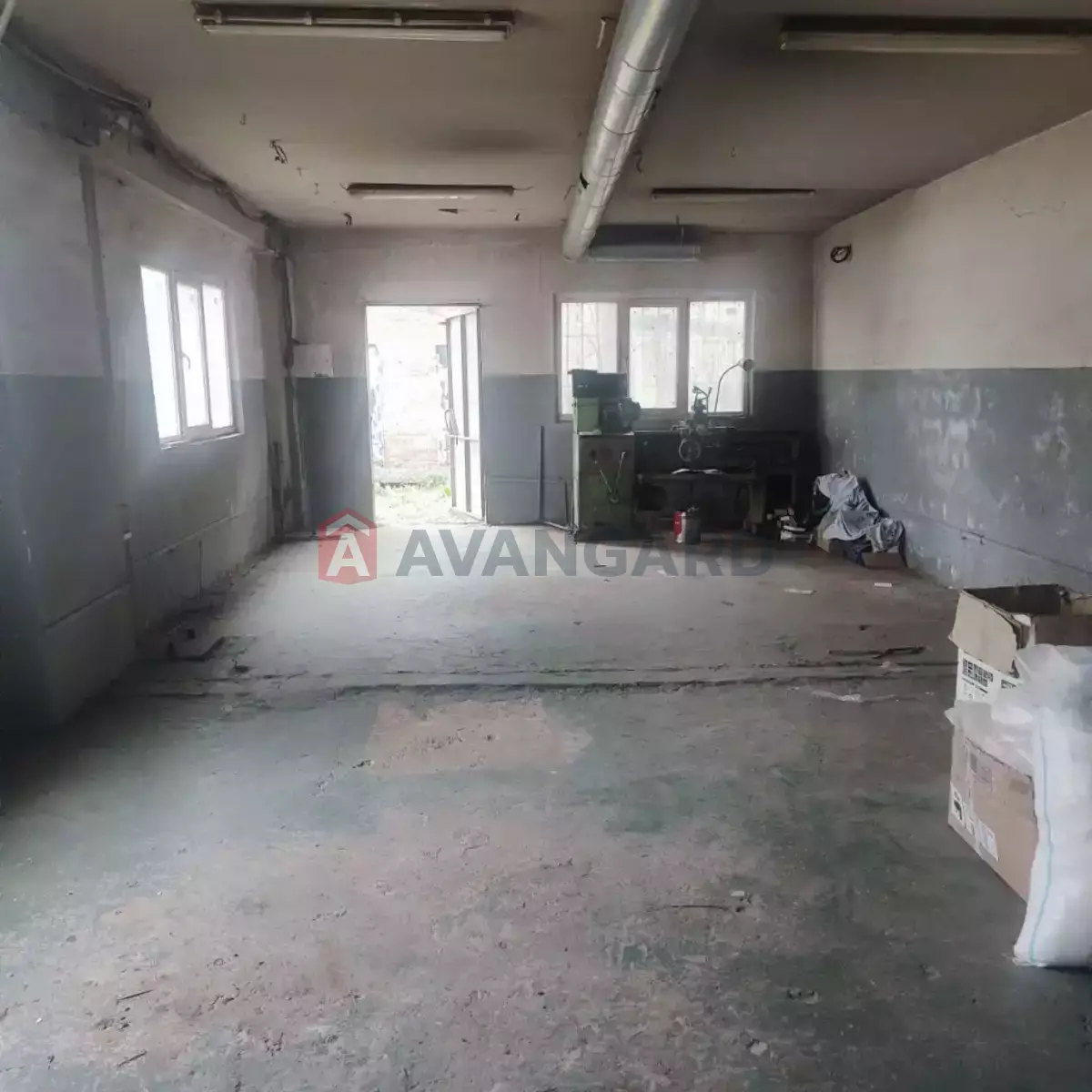 ���������� �����, 80 ��.�. ���� 7