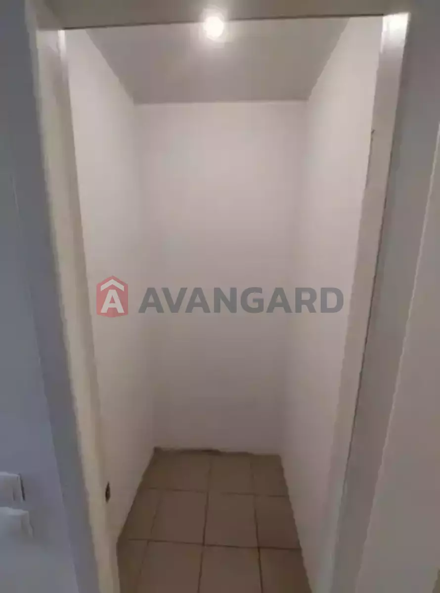 ���������� �����, 55 ��.�. ���� 8