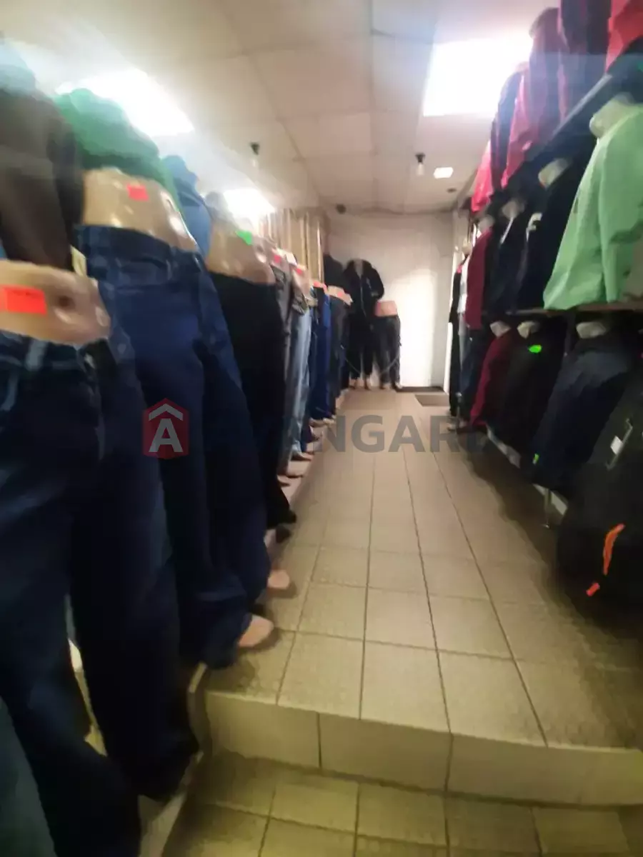 ���������� �����, 40 ��.�. ���� 7